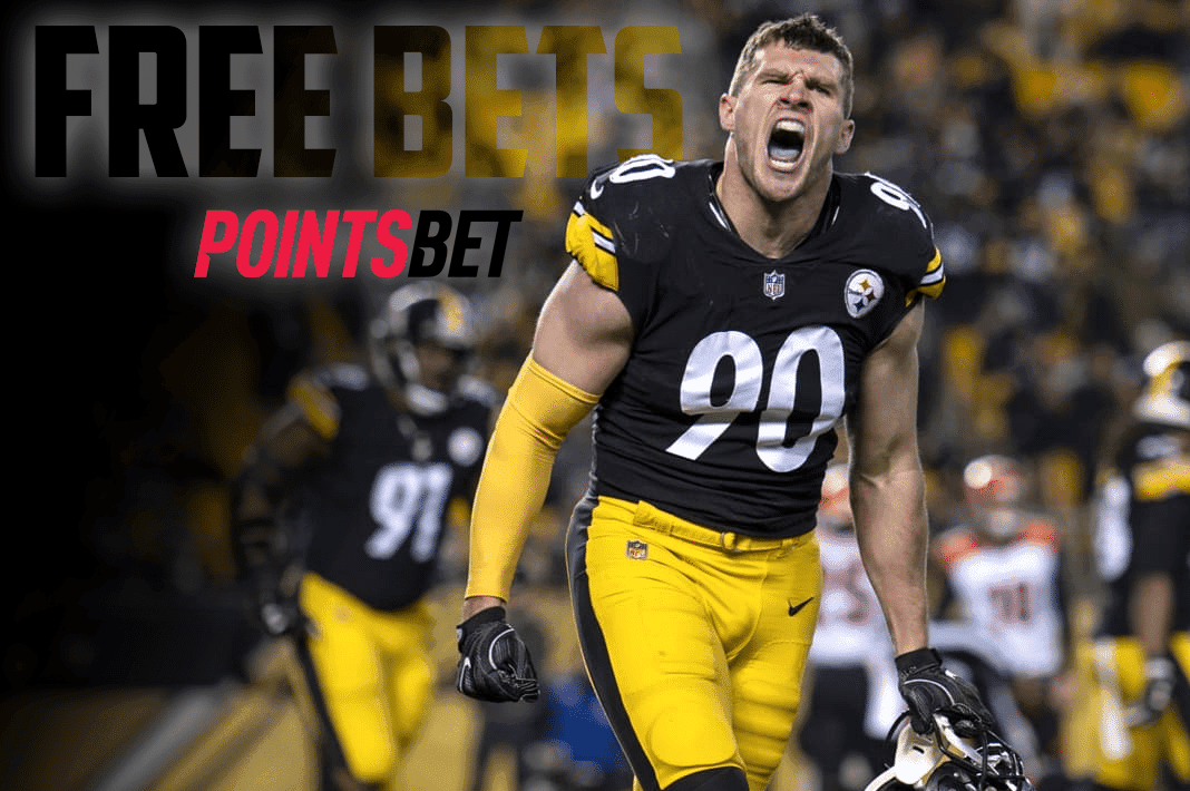 PointsBet Increased Odds For Wednesday's Ravens Vs. Steelers