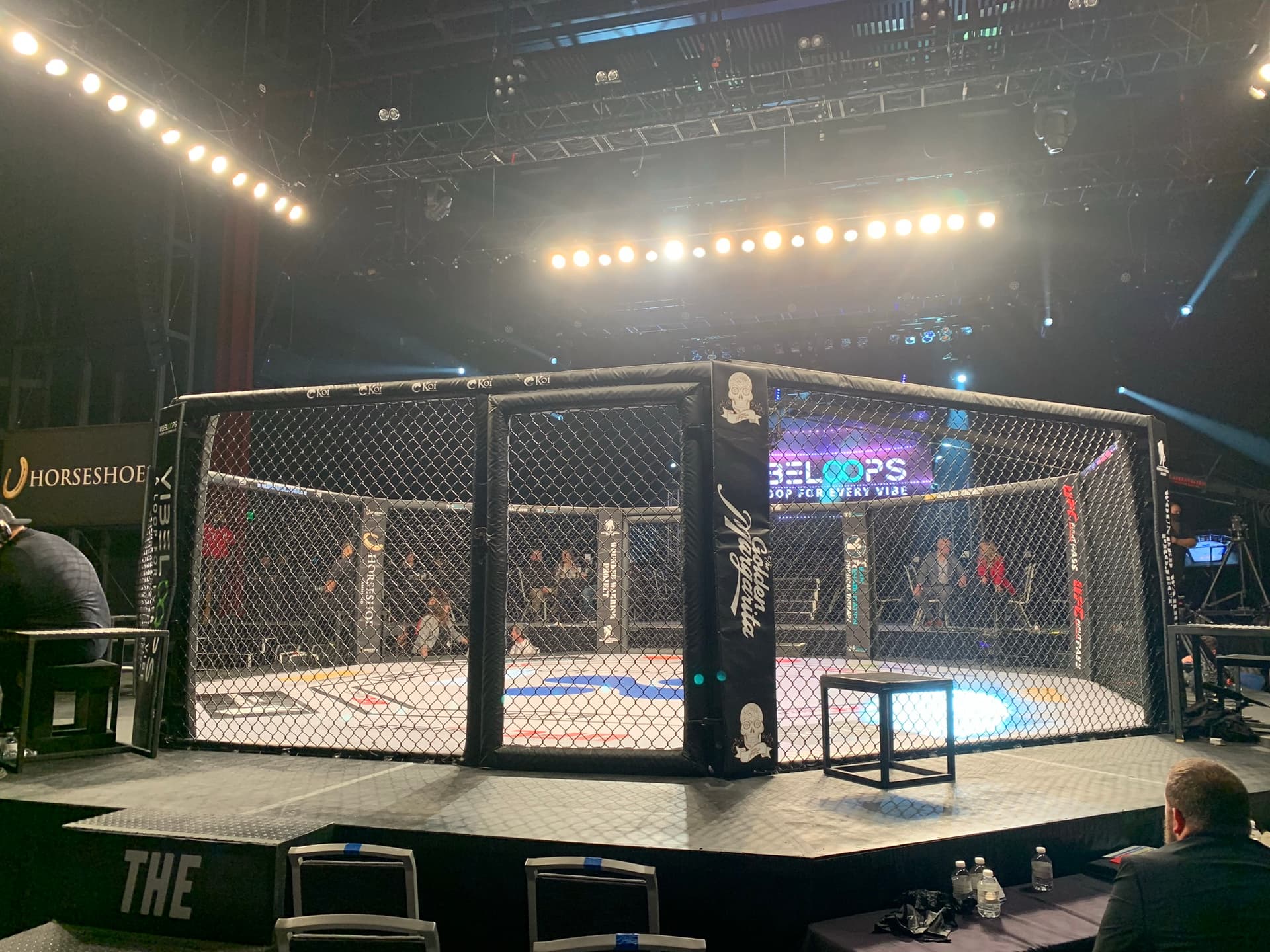 Chicago's Dan Argueta, Josh Streacker, And More Get Wins At LFA 123