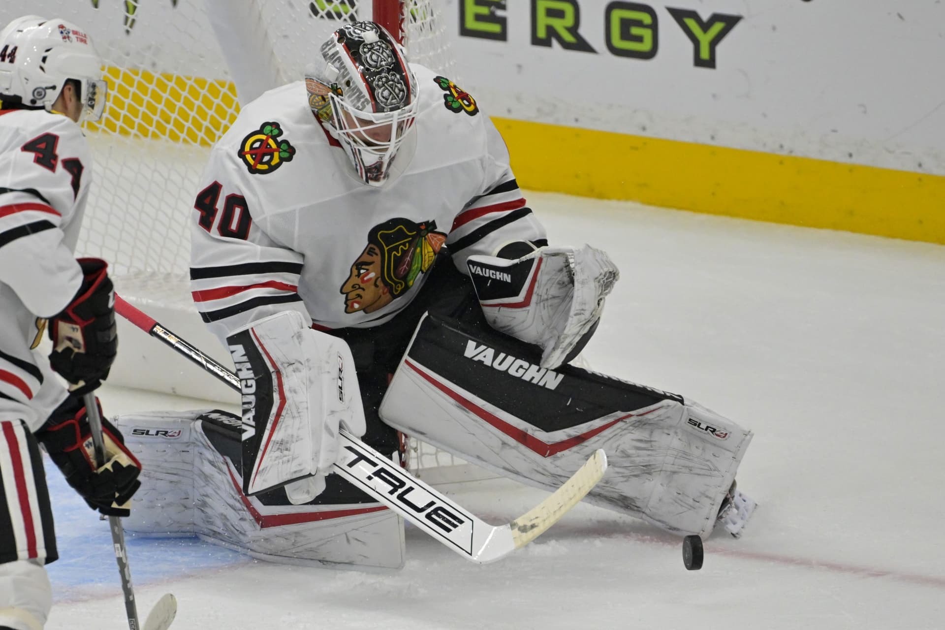 Laurent Brossoit’s Return Could Ignite Intriguing Jumble Of Goaltending Room