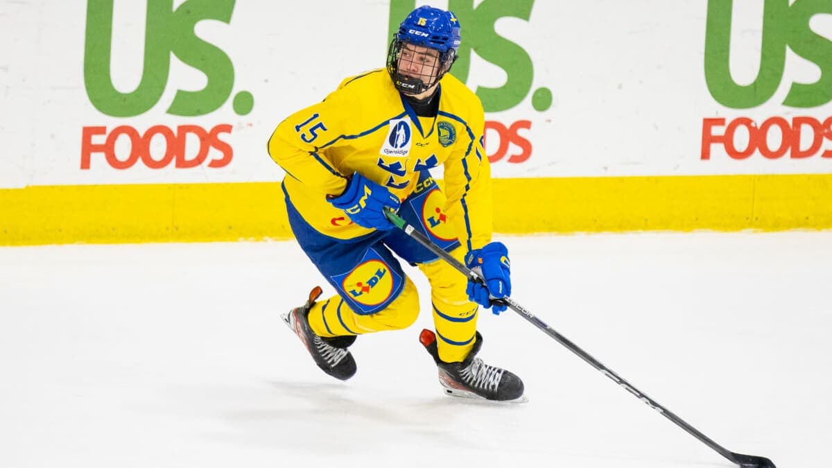 The Blackhawks' Plan For Anton Frondell This Season Was Revealed