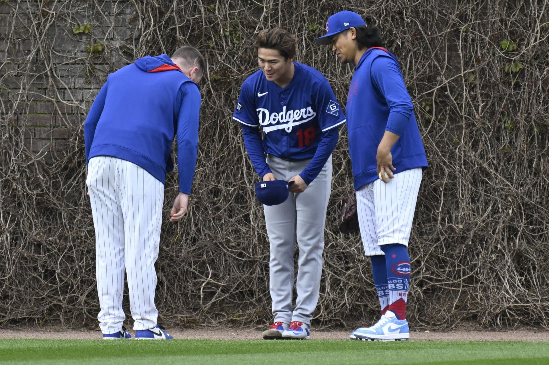 Here's the Best Move of the Cubs Offseason