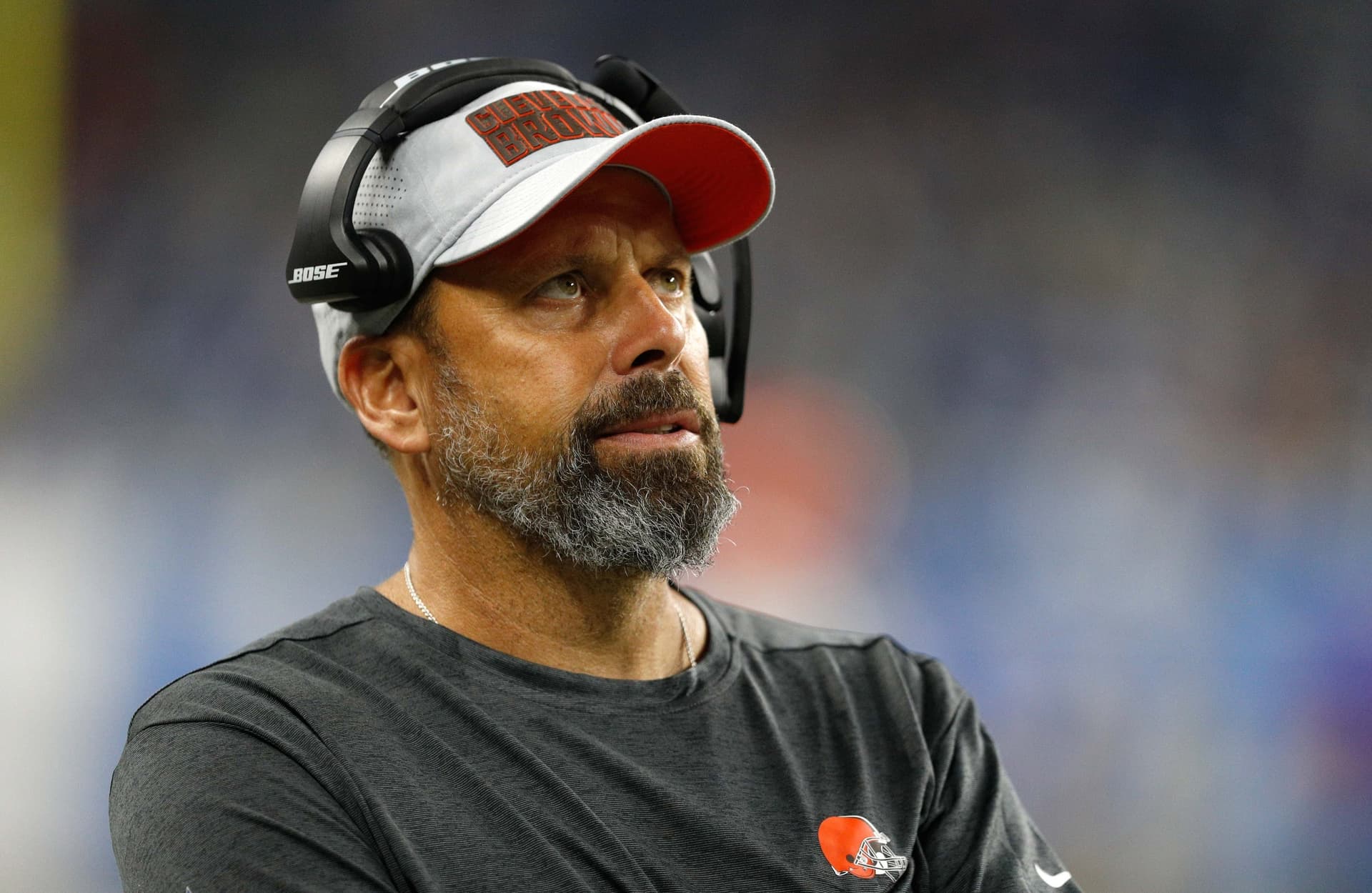 Todd Haley Drops Truth Bomb: Lions Died When Ben Johnson Left