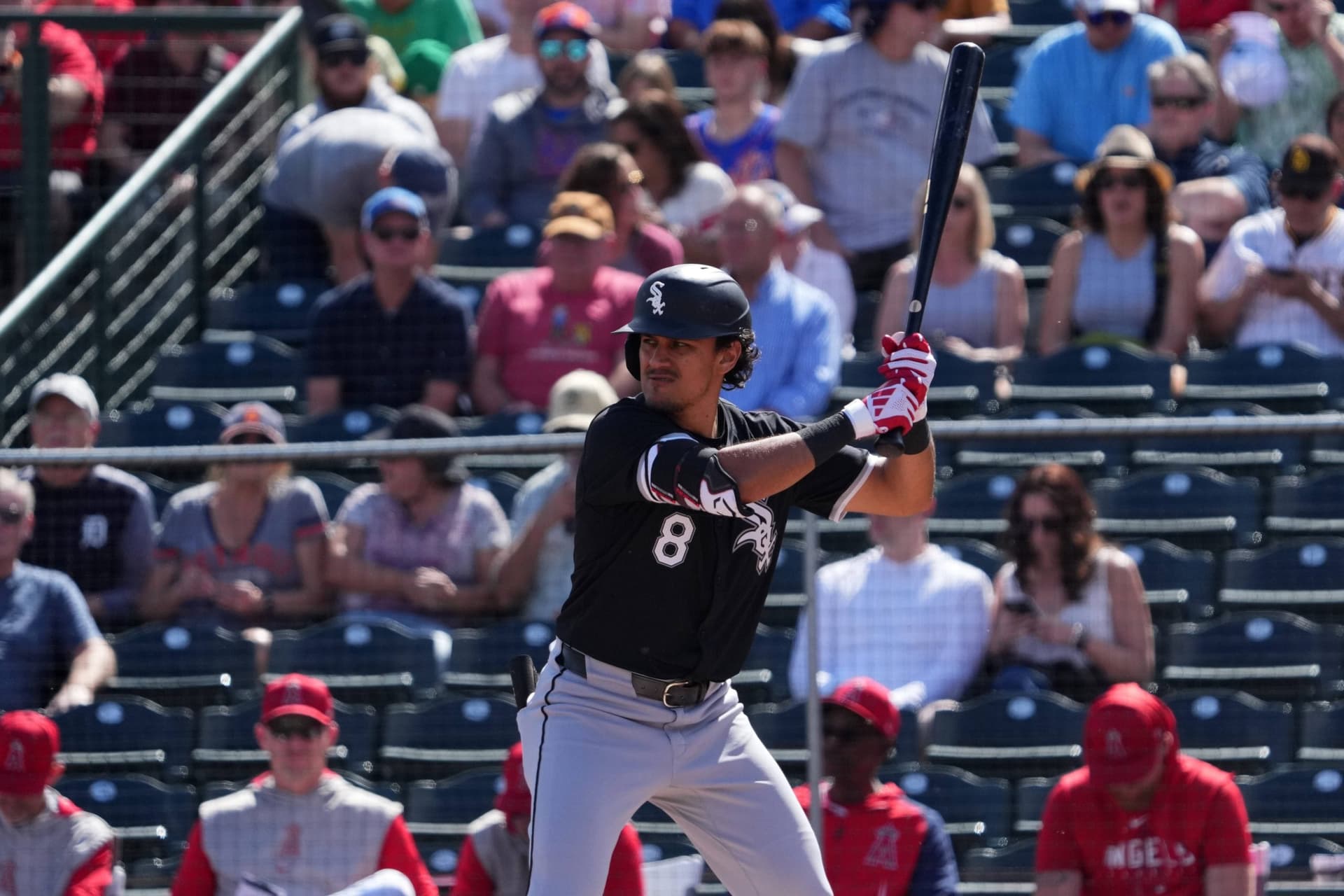 South Side Standouts: White Sox Top Performers In Spring Training